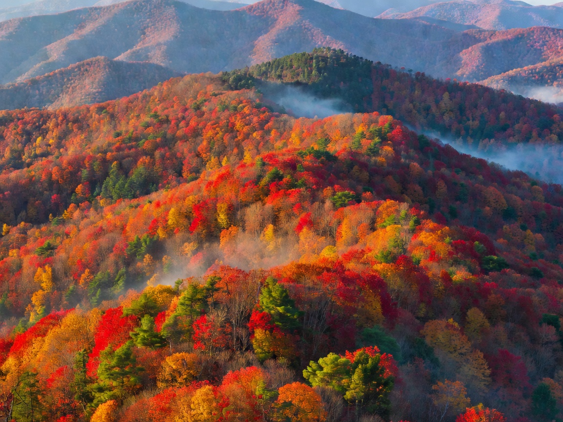 Blue Ridge mountain ridge covered in autumn forest