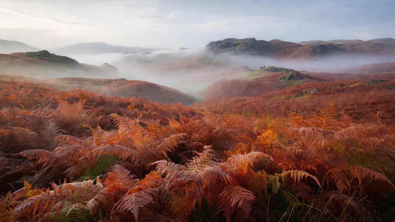 Copper autumn bracken and misty hills in England's Lake District
