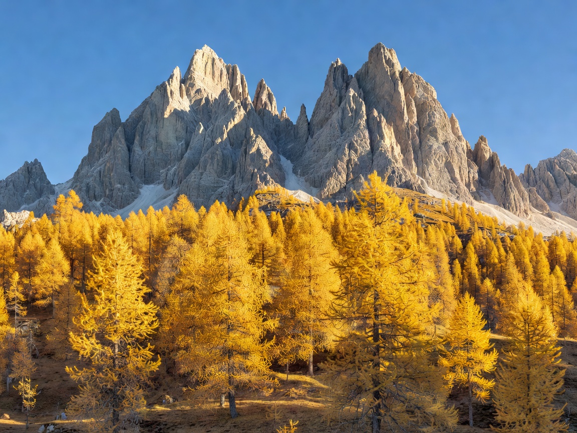 Golden larch trees beneath sharp Dolomite peaks